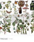 Pieni siirtokuva - Botanical Archives