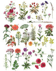 Print Floral Collection