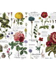 Decor Transfer Vintage Botanical