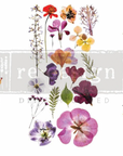 Liten överföringsbild Doodle Flowers