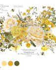 Transfer image Kacha Gold Manor Swirls