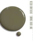 Mineral paint, shade Overland Green, One Hour Enamel