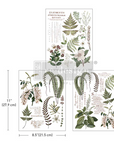Middy Transfers - Greenery Grace