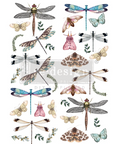 Decor Transfers® - Riverbed Dragonflies