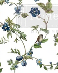 Decor Transfers® Siirtokuva - Chirping Charm